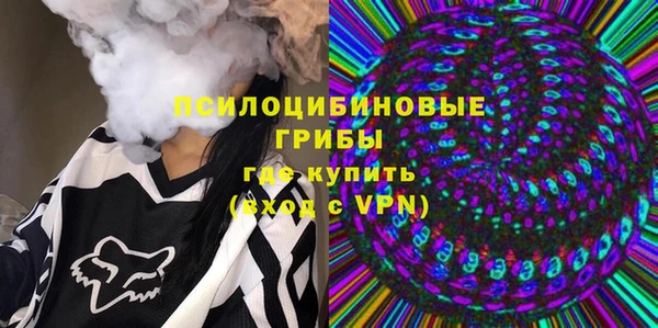 МДПВ Богородицк