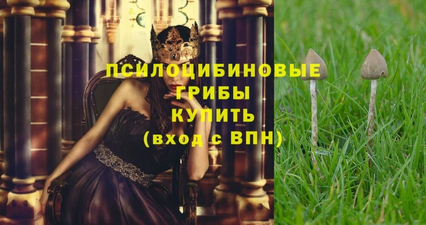 МДПВ Богородицк