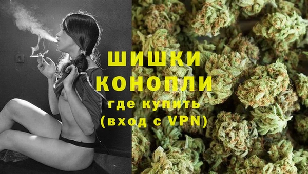 молекула духа Богородск