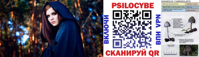 купить   Берёзовка  Галлюциногенные грибы мицелий 
